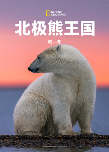 北极熊王国 1
